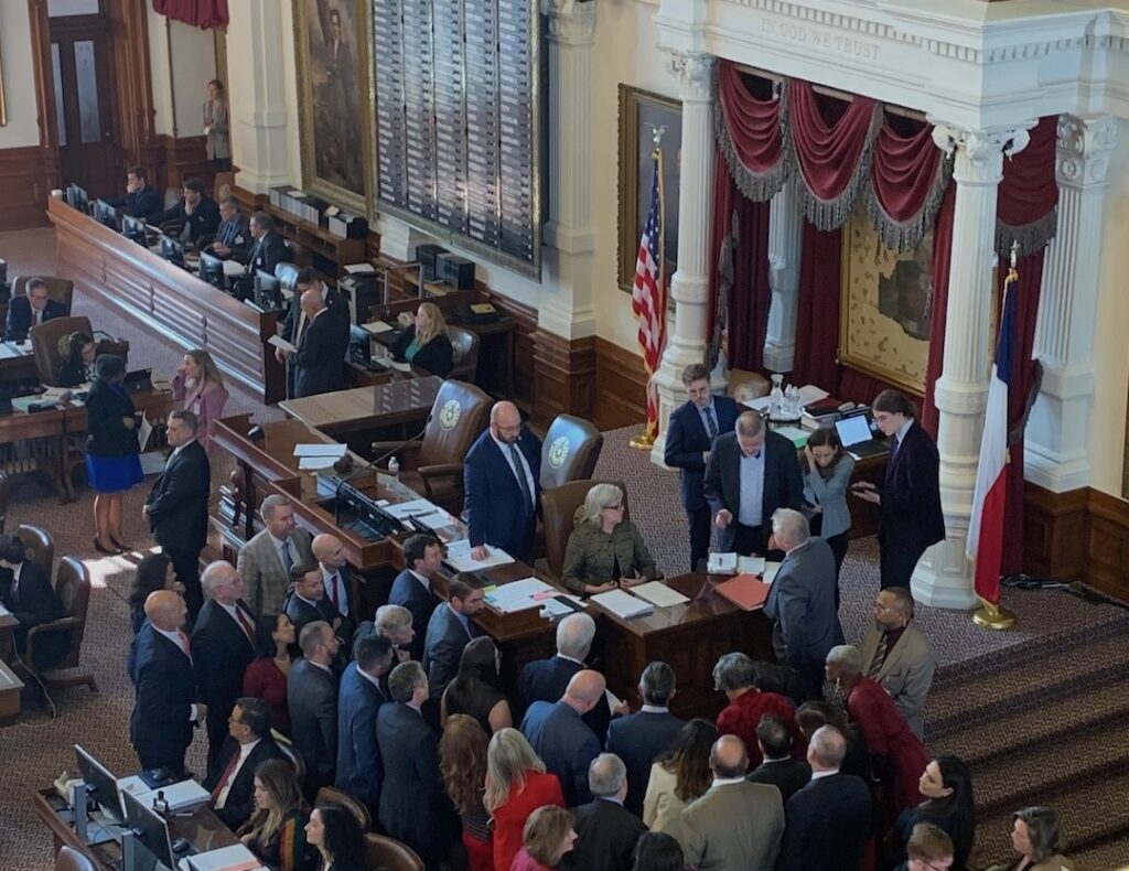 The Parliamentarian deciding on a Point of Order